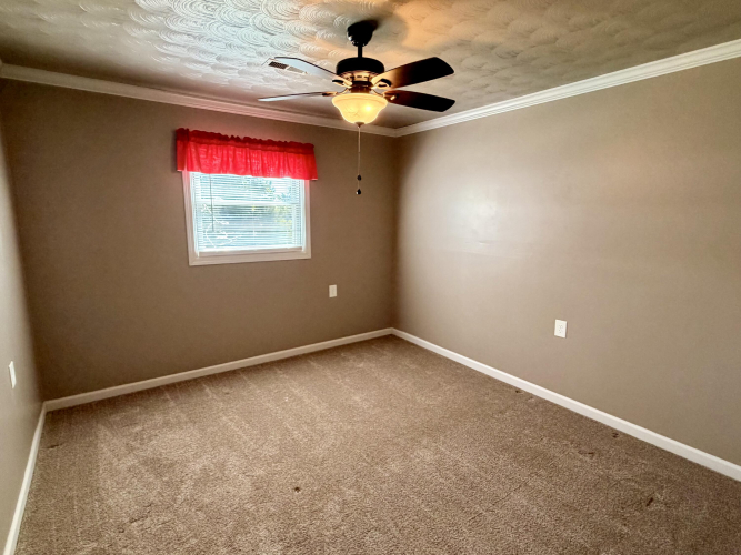 Listing Image 28