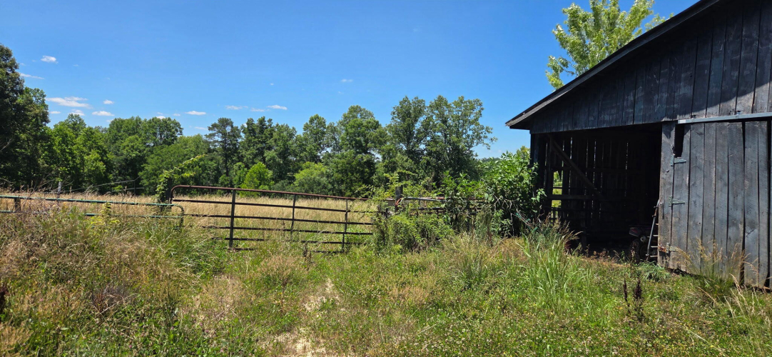 Listing Image 27