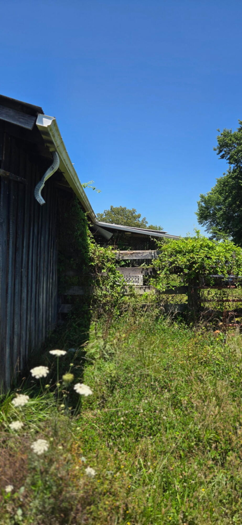 Listing Image 30