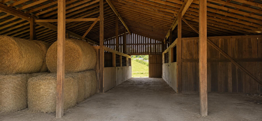 Listing Image 37