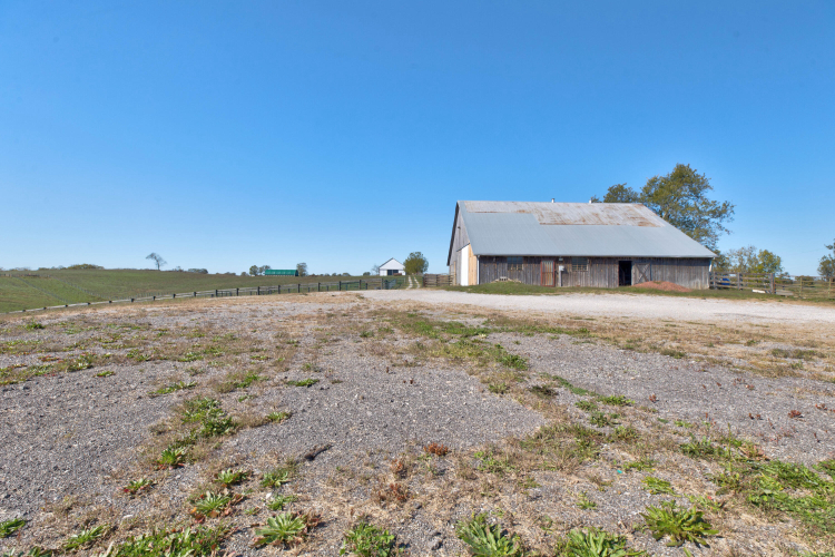 Listing Image 75
