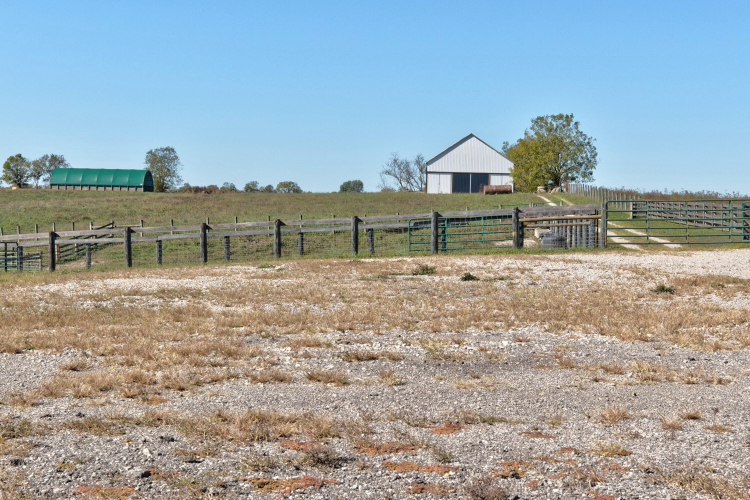 Listing Image 78
