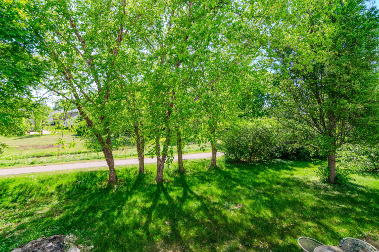 Listing Image 54