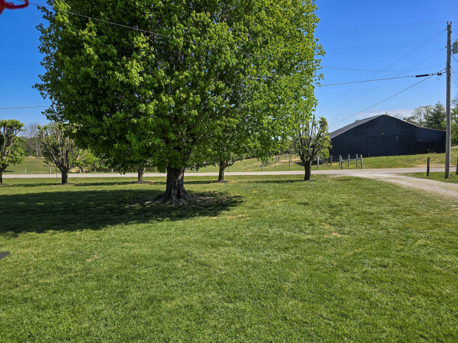 Listing Image 50