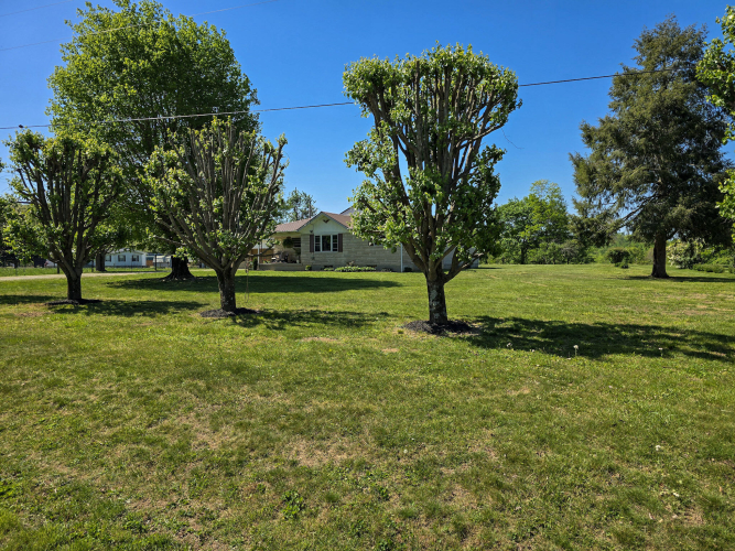 Listing Image 52
