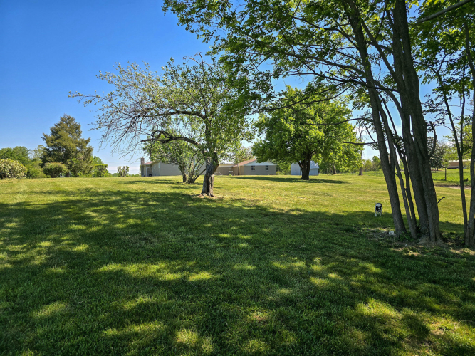 Listing Image 59