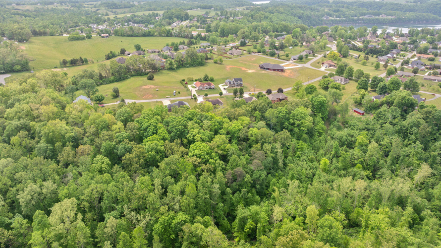 Listing Image 89