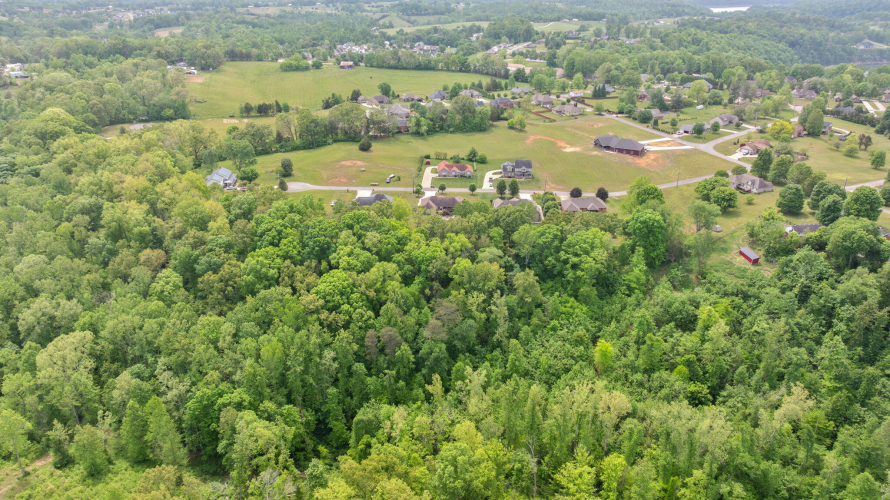 Listing Image 90