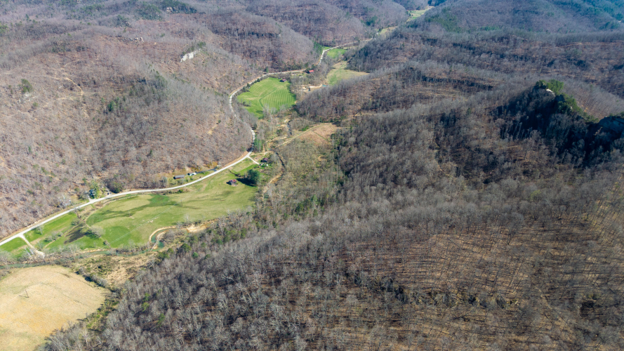 Listing Image 11