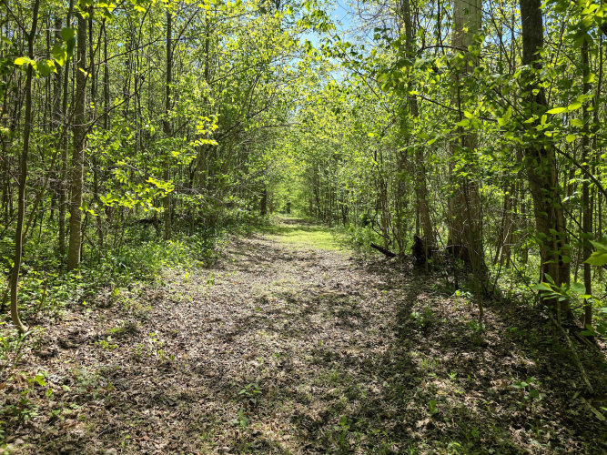 Listing Image 13