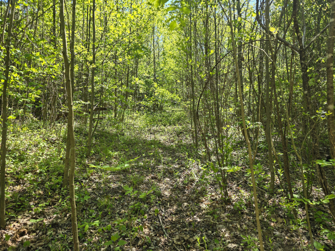 Listing Image 17