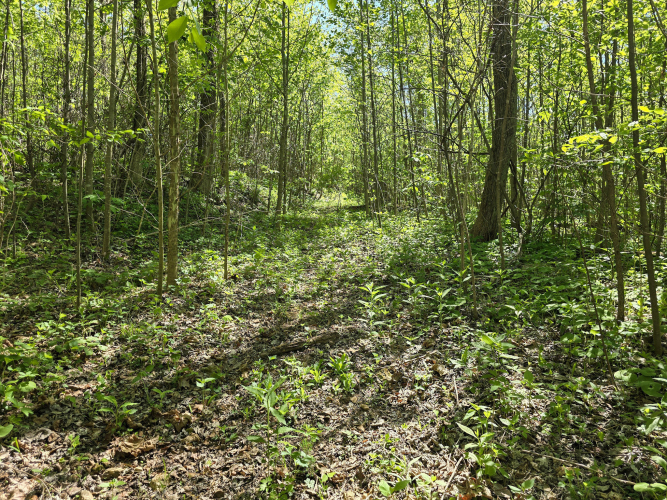 Listing Image 18