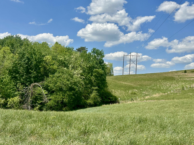 Listing Image 18