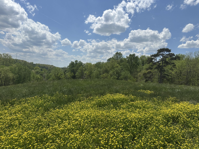 Listing Image 24