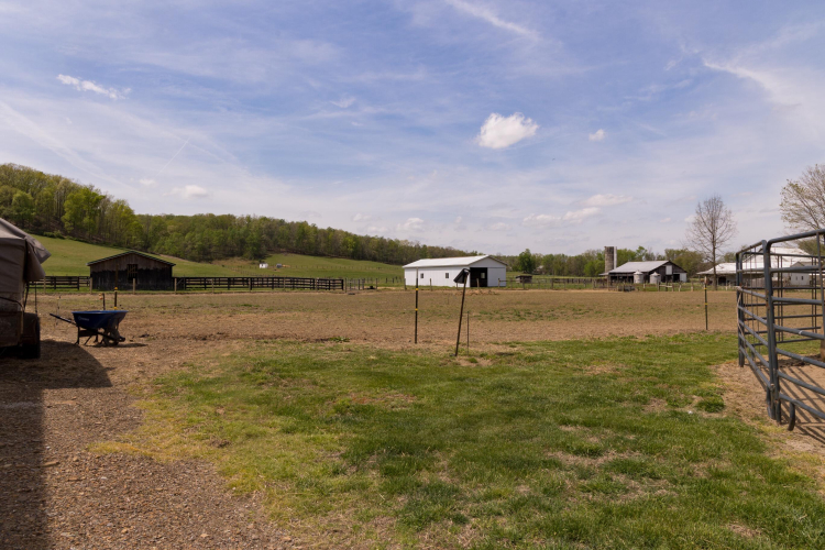 Listing Image 39