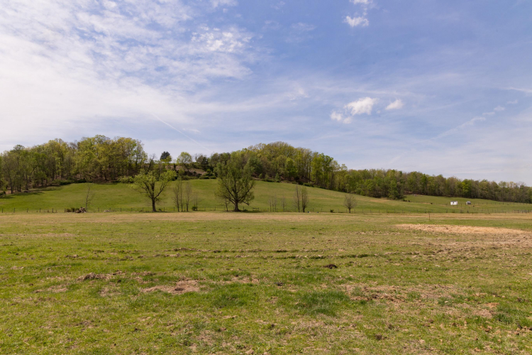 Listing Image 42