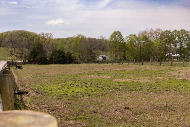 Listing Image 53