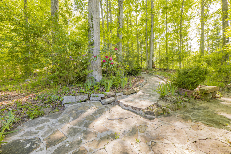 Listing Image 81