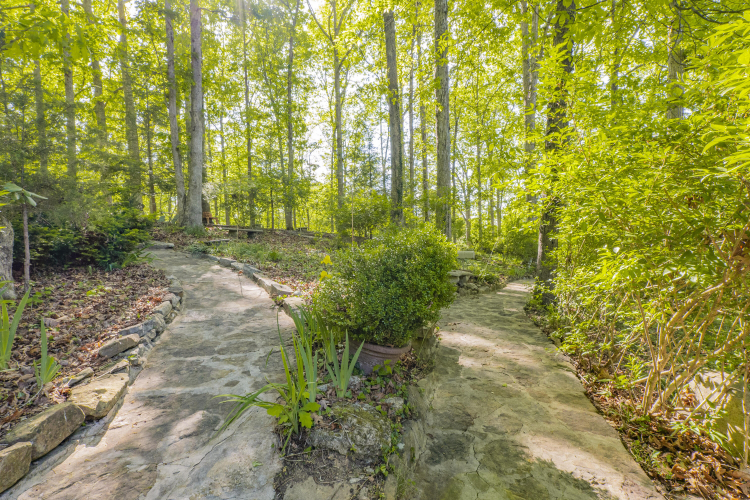 Listing Image 82