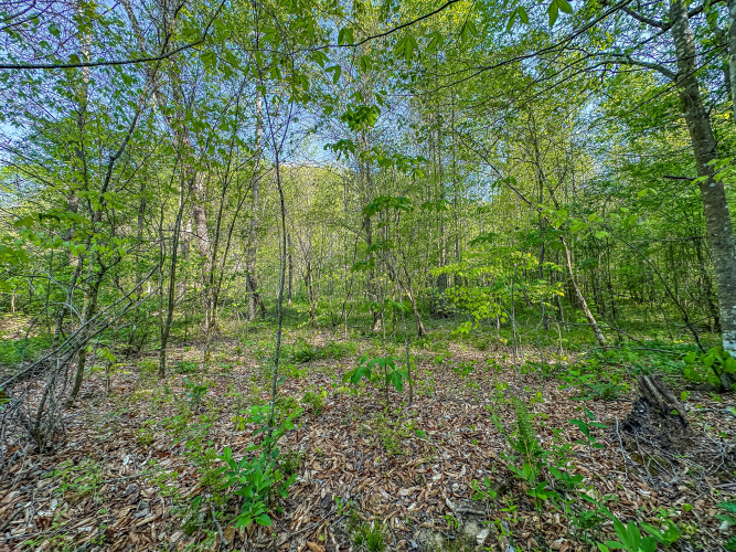 Listing Image 8