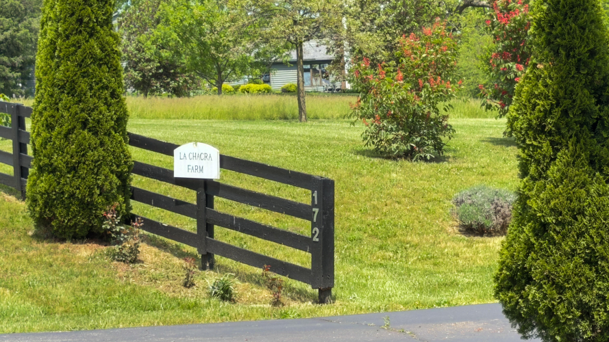 Listing Image 80
