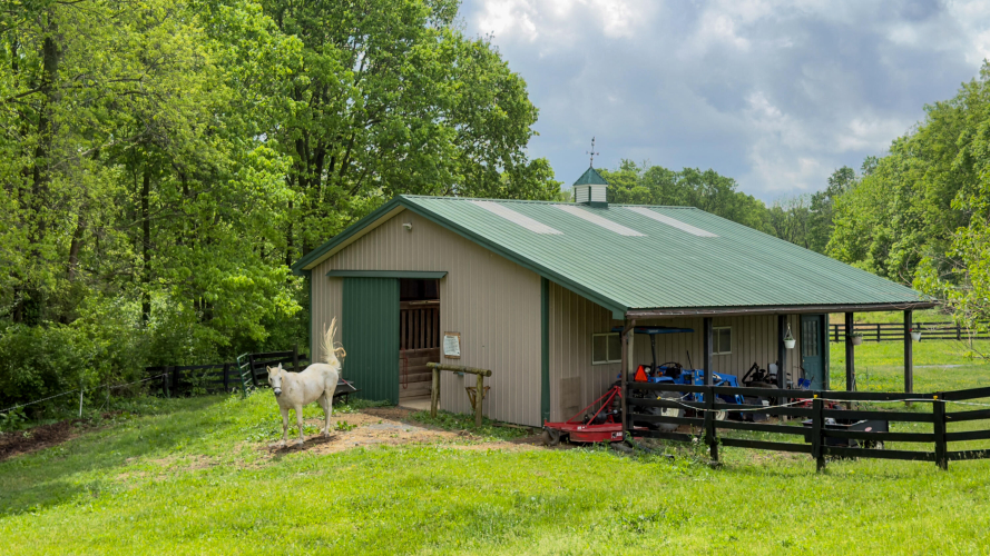 Listing Image 84