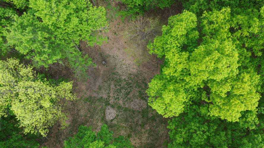 Listing Image 101