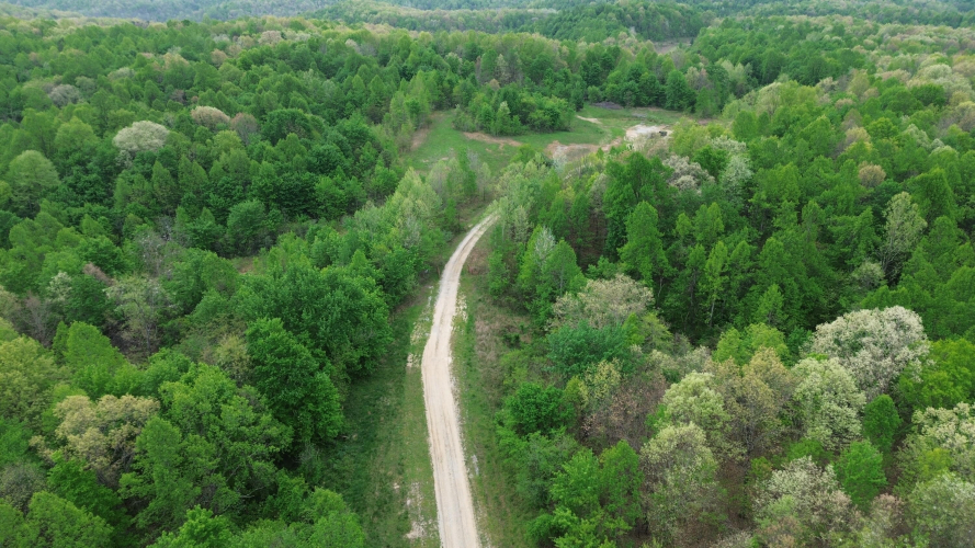 Listing Image 13