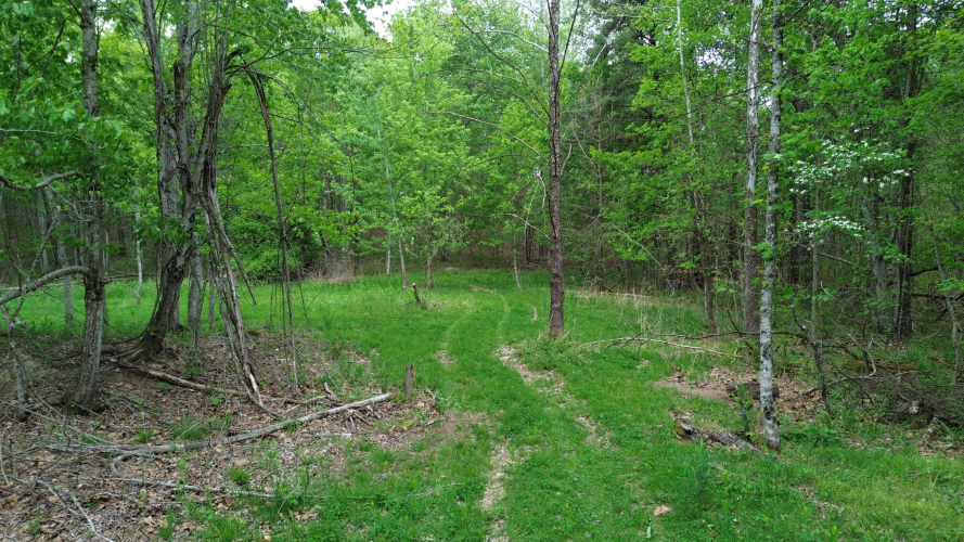 Listing Image 17