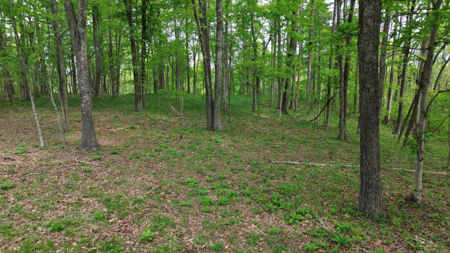 Listing Image 60