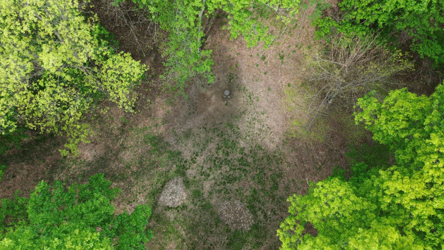 Listing Image 62