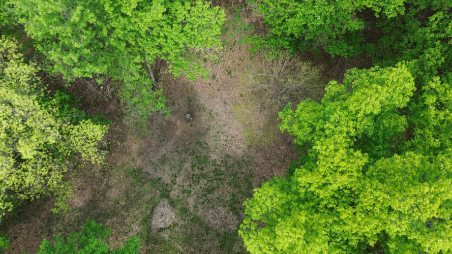 Listing Image 65