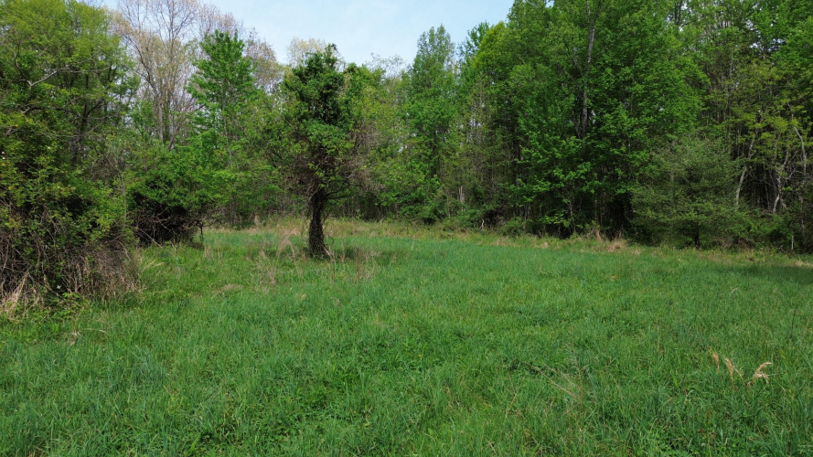 Listing Image 71
