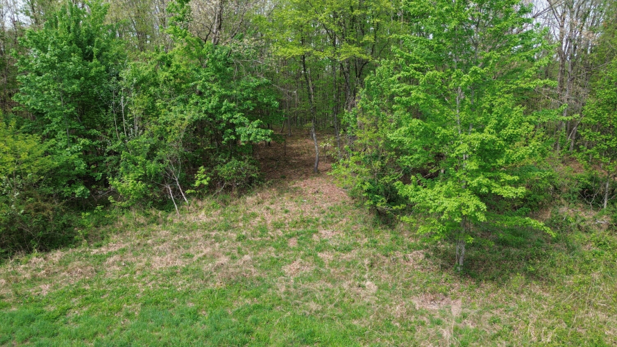 Listing Image 72
