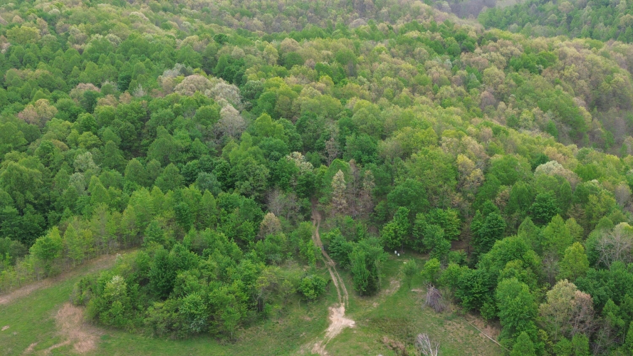 Listing Image 83