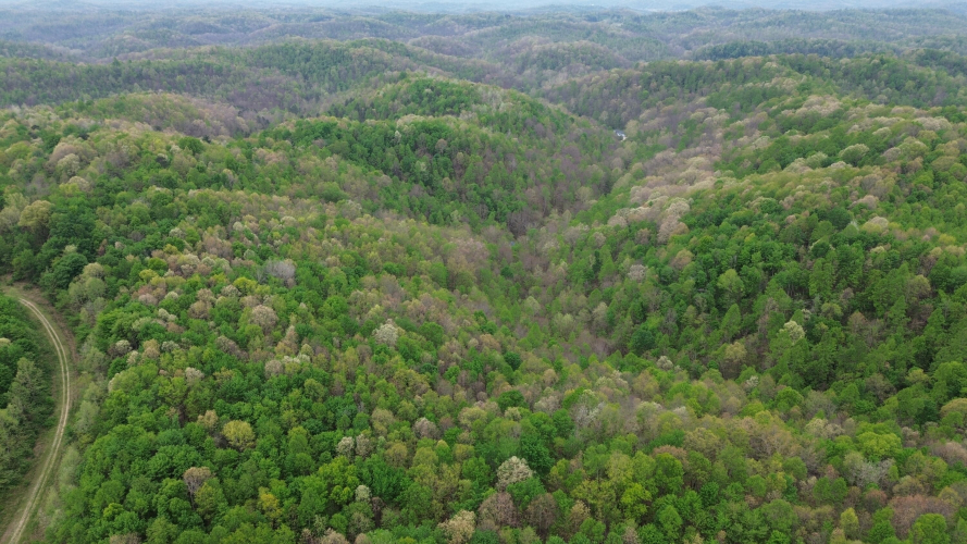Listing Image 88