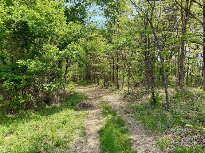Listing Image 89