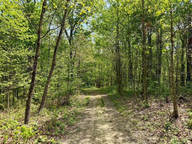 Listing Image 90