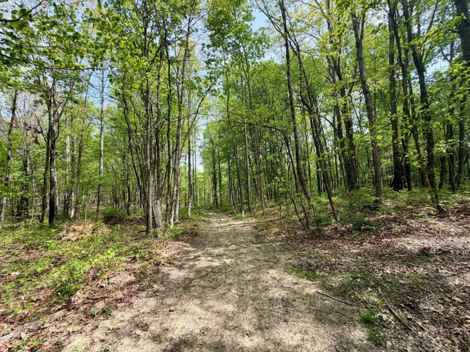 Listing Image 96