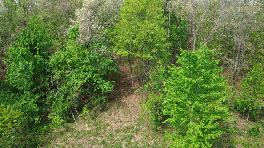 Listing Image 17