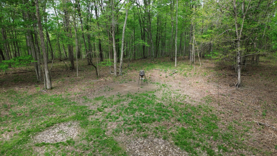 Listing Image 47