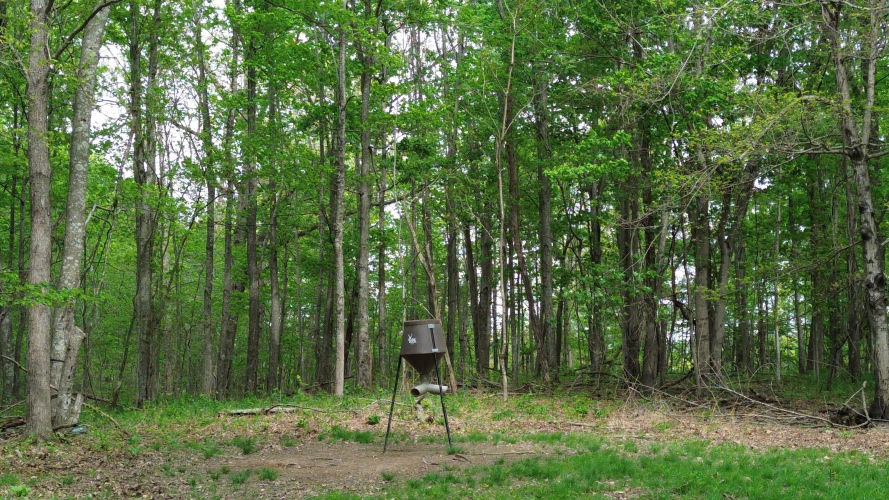 Listing Image 55