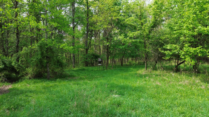 Listing Image 60