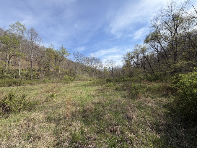 Listing Image 62