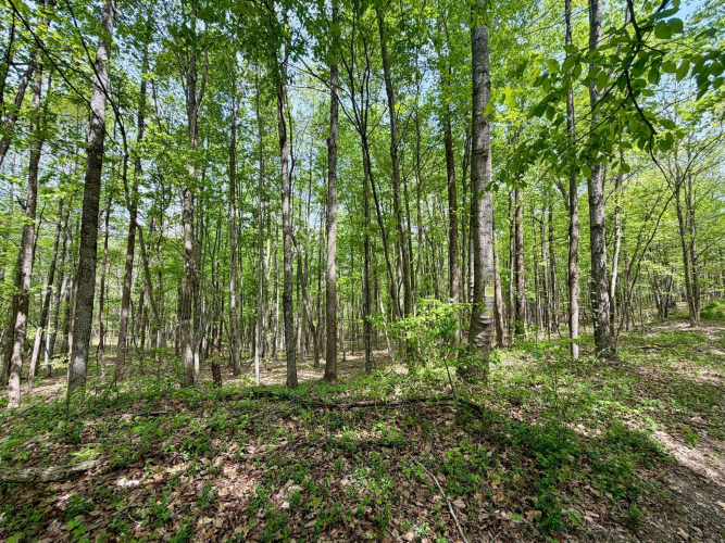 Listing Image 17