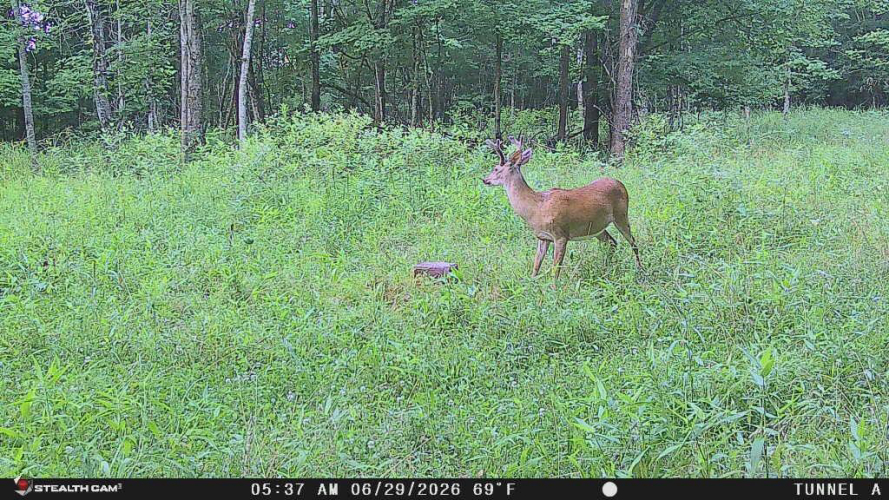 Listing Image 20