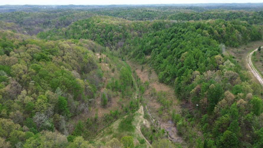 Listing Image 23