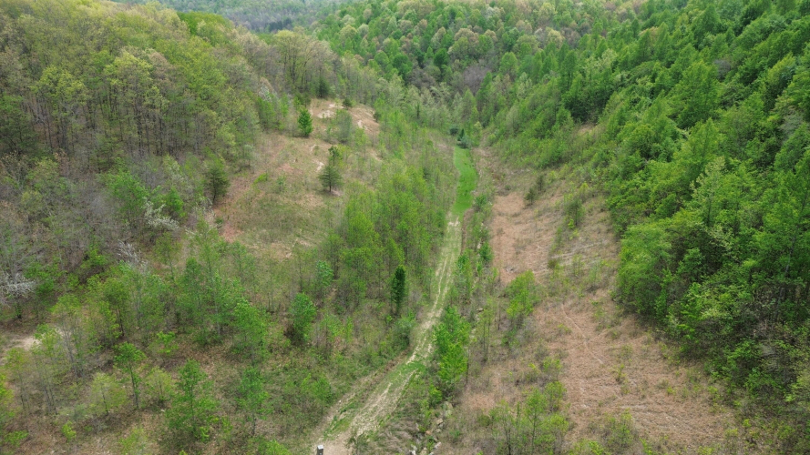 Listing Image 27
