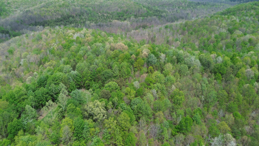 Listing Image 40