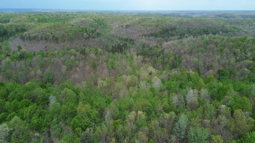 Listing Image 49